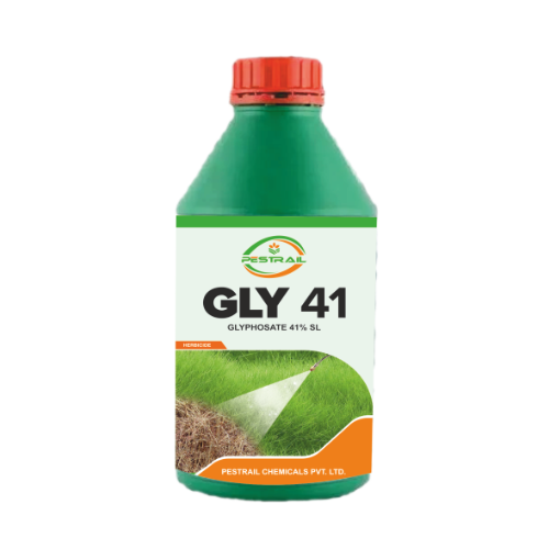 GLY 41
